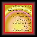 Tujhe khoya agar main ne 01 * 20.03.2012 * 349 x 653 * (55KB)